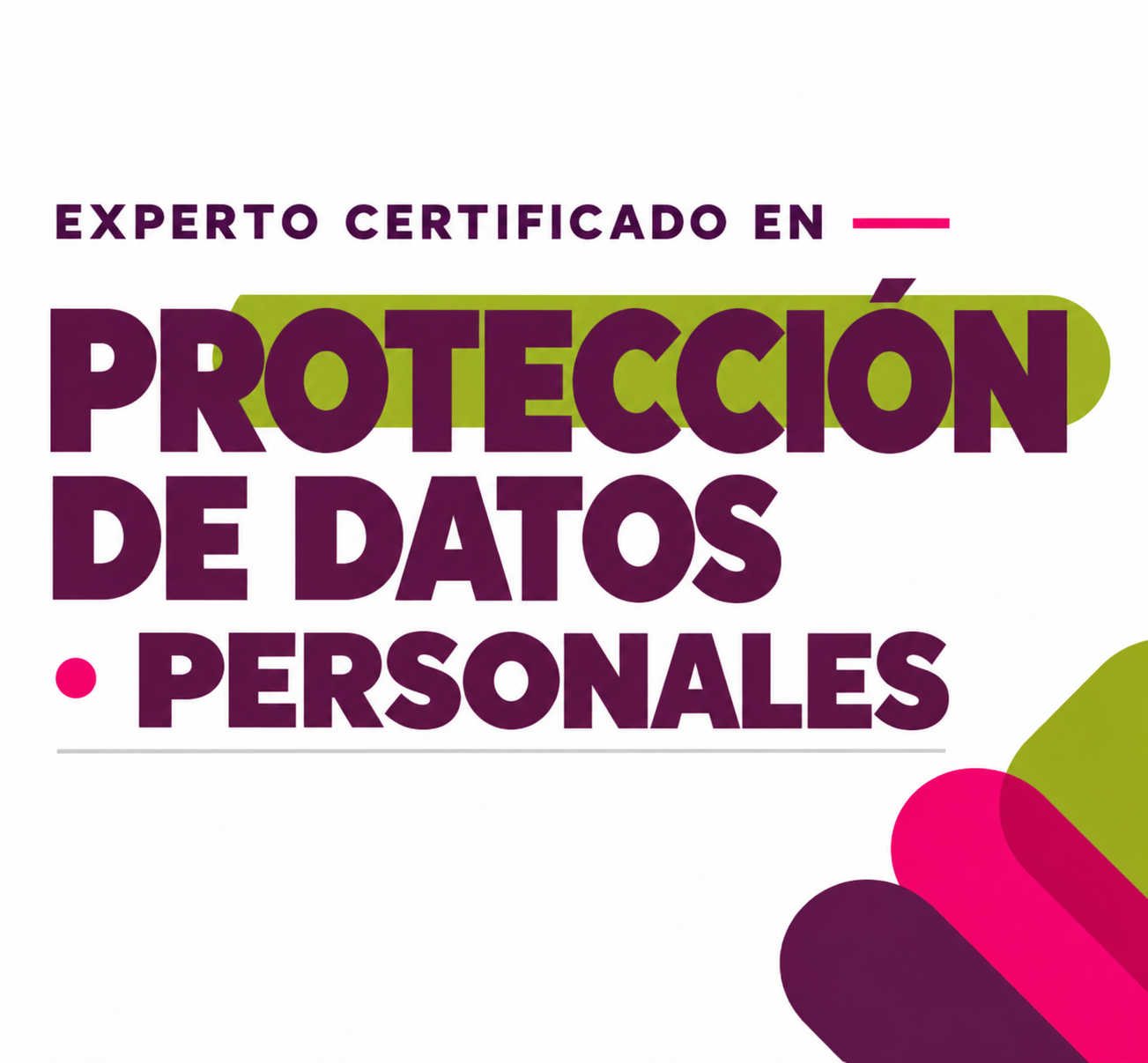 Experto Certificado en Protección de Datos Personales